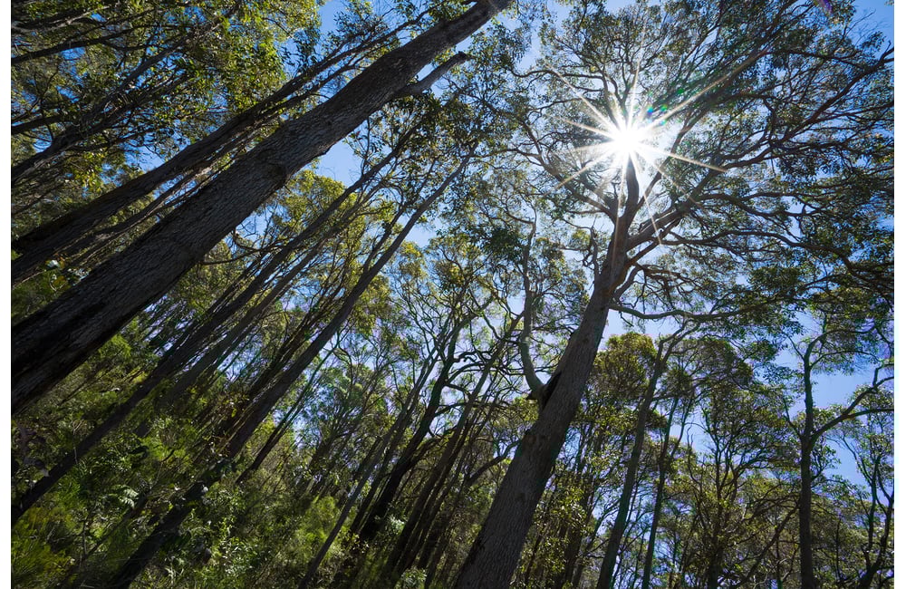 Margaret River Lifestyle Village, Margaret River Retirement Village