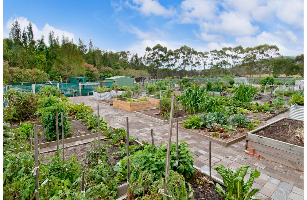 Levande Golden Ponds, Forster Retirement Village, Retirement Home, NSW