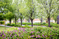 Taylors Hill Village