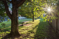 St Vincent’s Care Services Haberfield