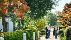 The Landings