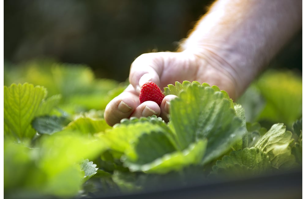 Glenvale Villas, Toowoomba City Retirement Village, Retirement Home, QLD